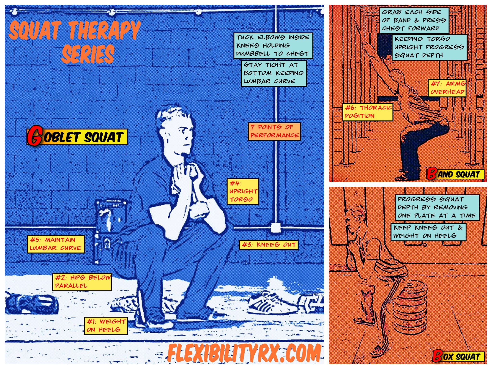 Squat Therapy Series