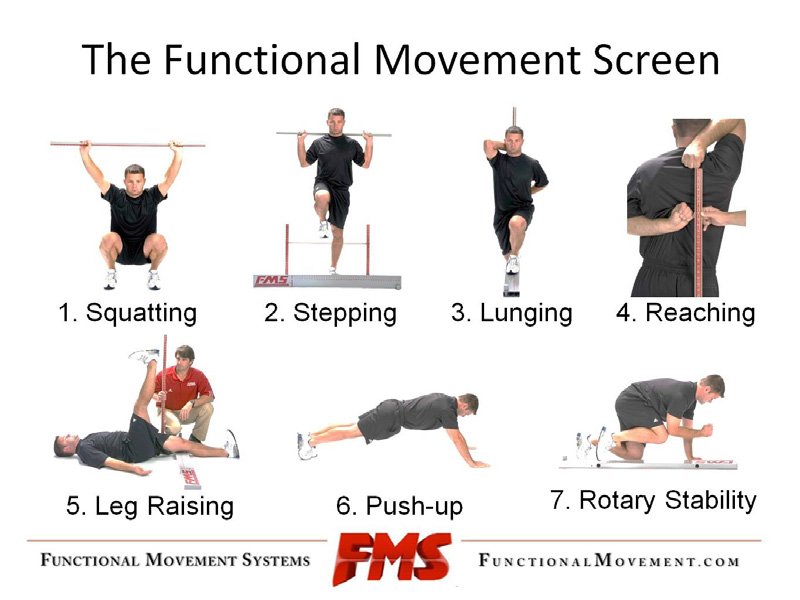 FMS Functional Movement Systems FlexibilityRx Performance Based