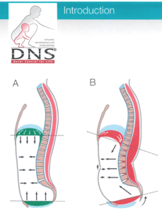 Maybe You Shouldn't Be Stretching Your Hip Flexors? | FlexibilityRx ...